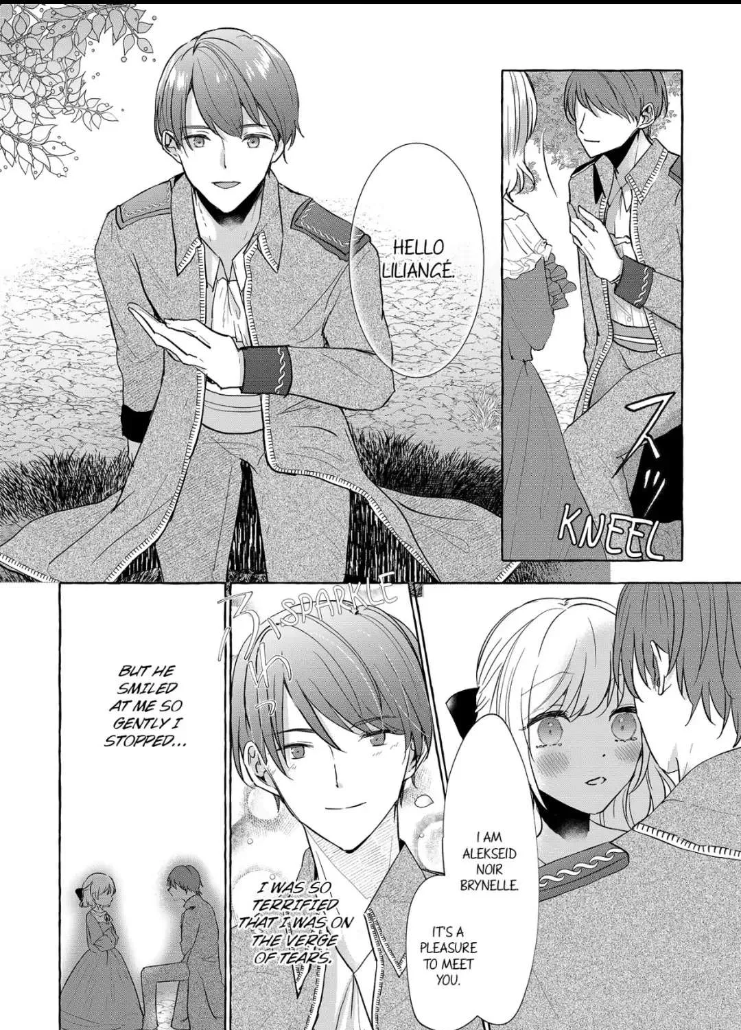 Darling Husband, Don