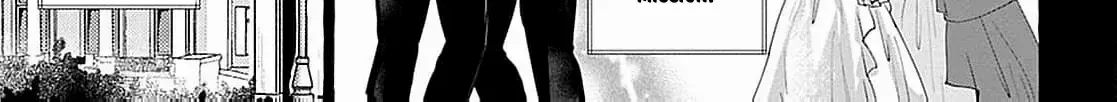 Darling Husband, Don