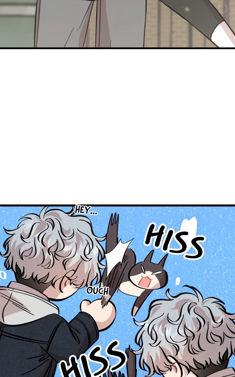 Date a Ranker Chapter 11 page 84 - 