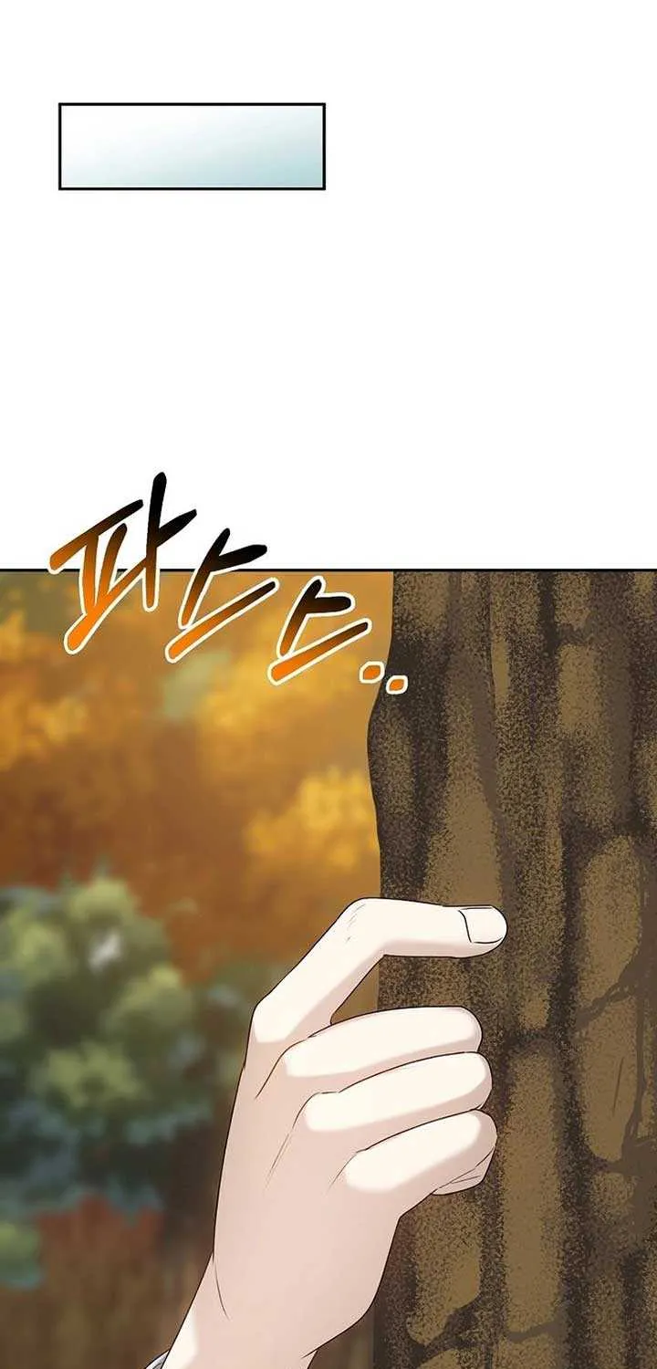 Dawn Lighting Above The Clouds Chapter 15 page 71 - 