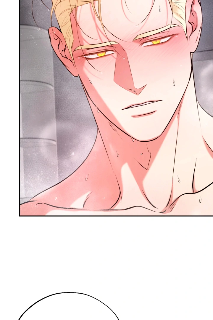 Dawning Light Chapter 13 page 67 - 
