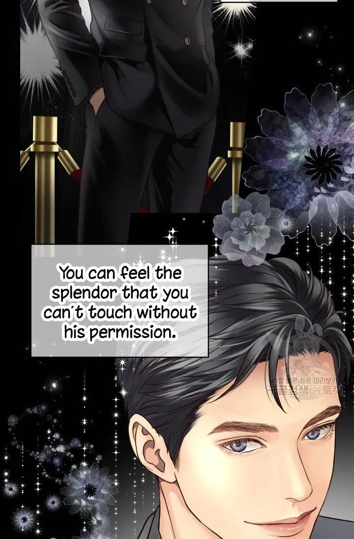 Daytime Star Chapter 12 page 41 - 