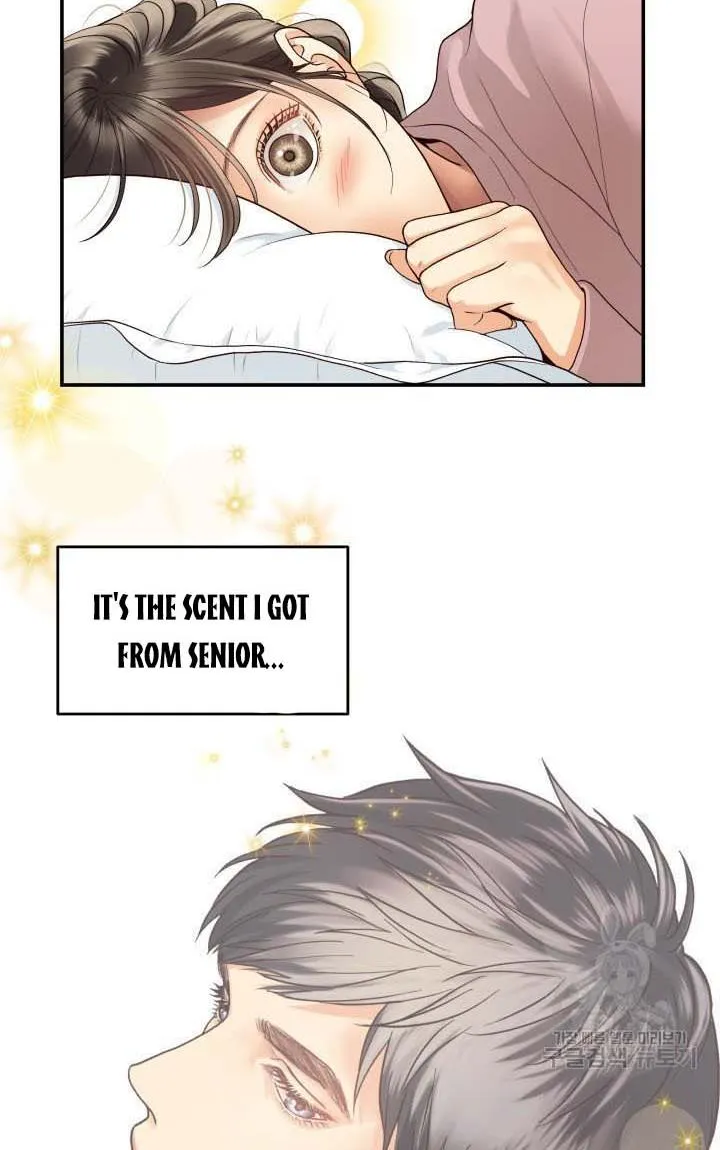 Daytime Star Chapter 9 page 41 - 