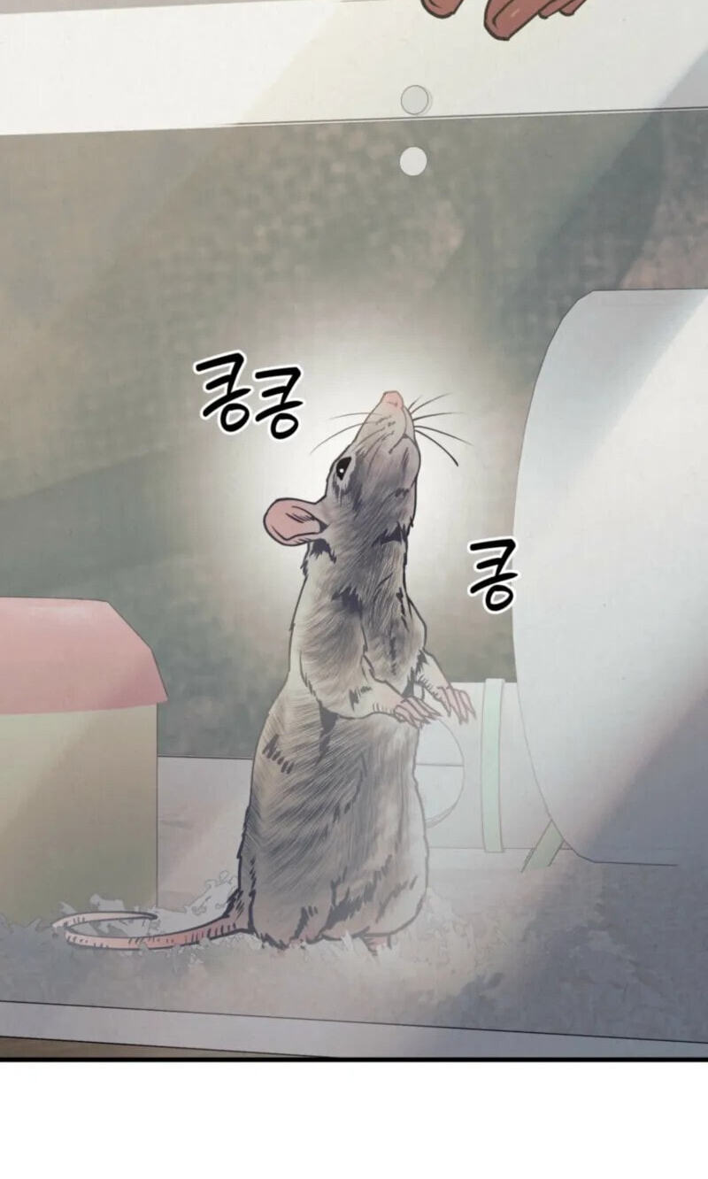 Dazzling Breath Chapter 39 page 42 - 
