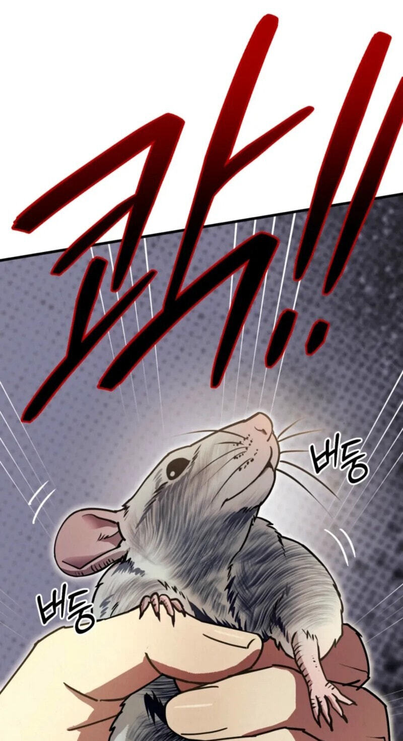 Dazzling Breath Chapter 39 page 43 - 