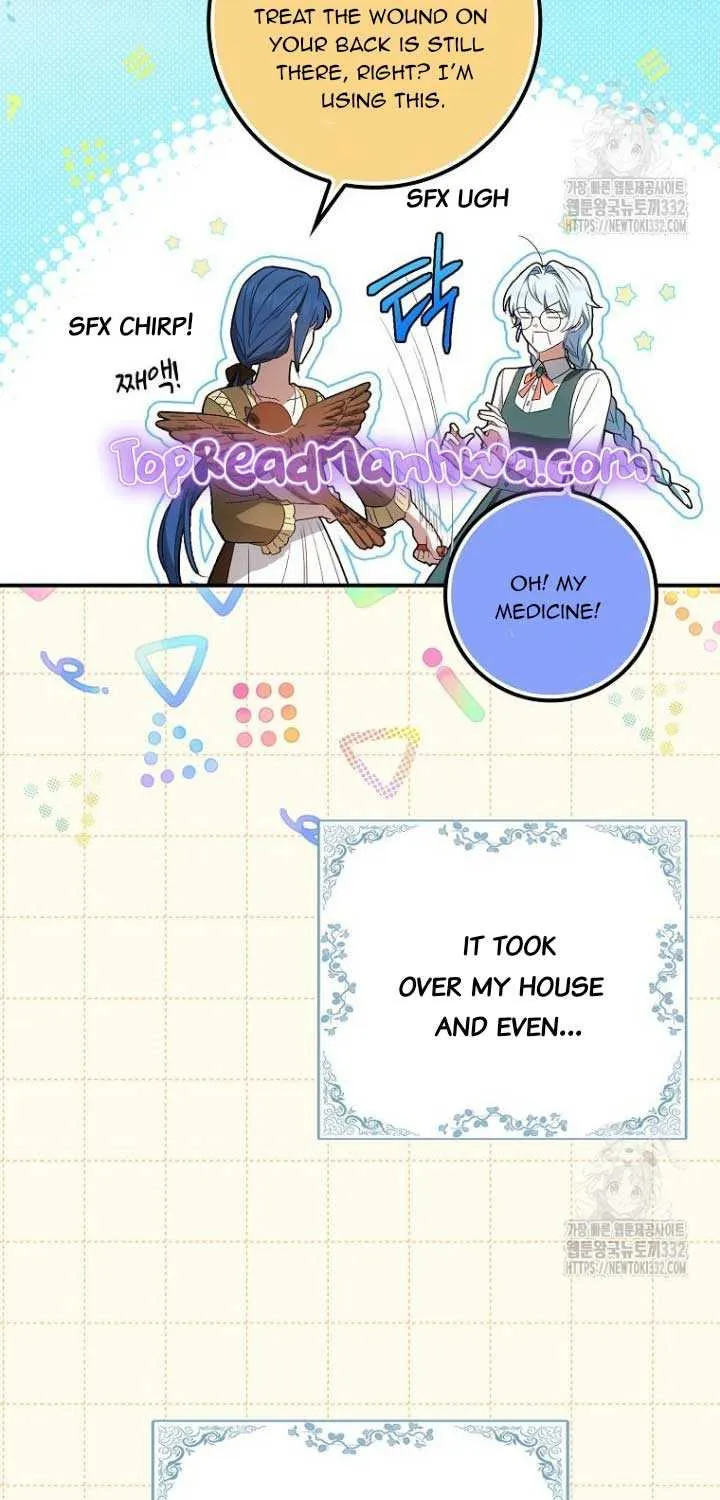 Deadlines are Raining in the Status Window Chapter 7 page 5 - 