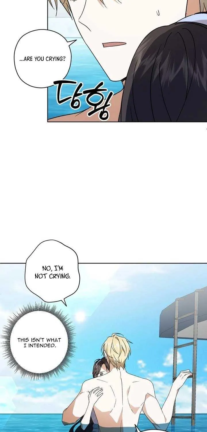 Dear Anonymous Sponsor Chapter 33 page 33 - 