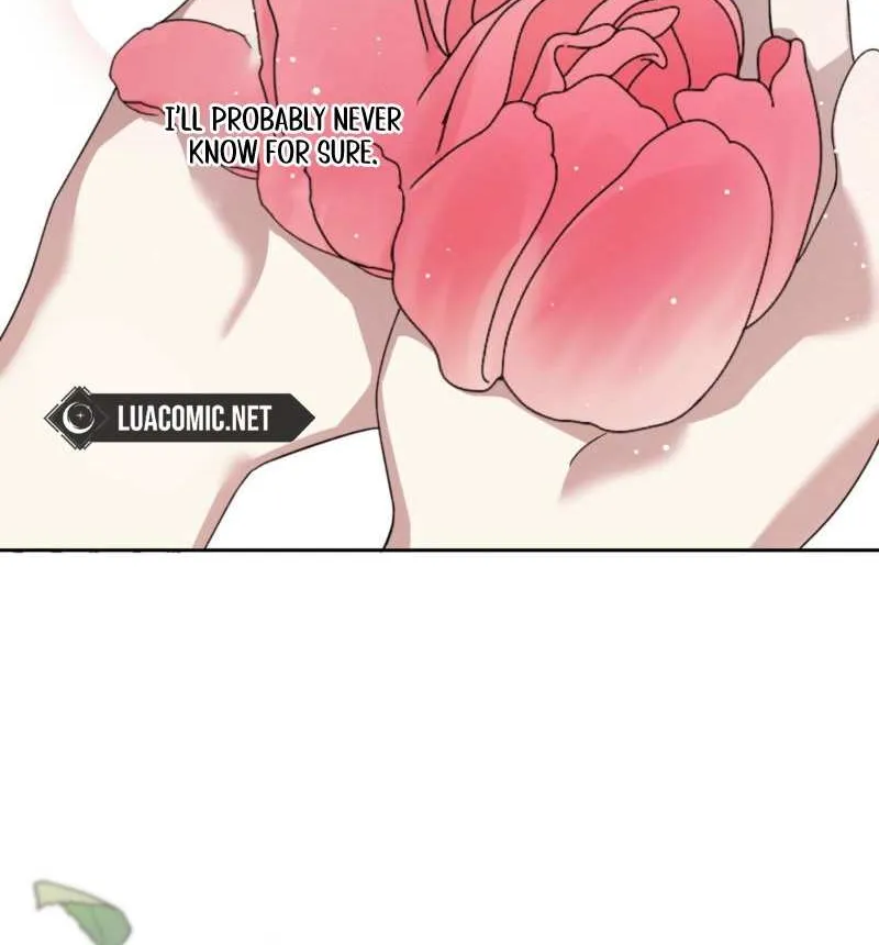 Dear Anonymous Sponsor Chapter 4 page 13 - 