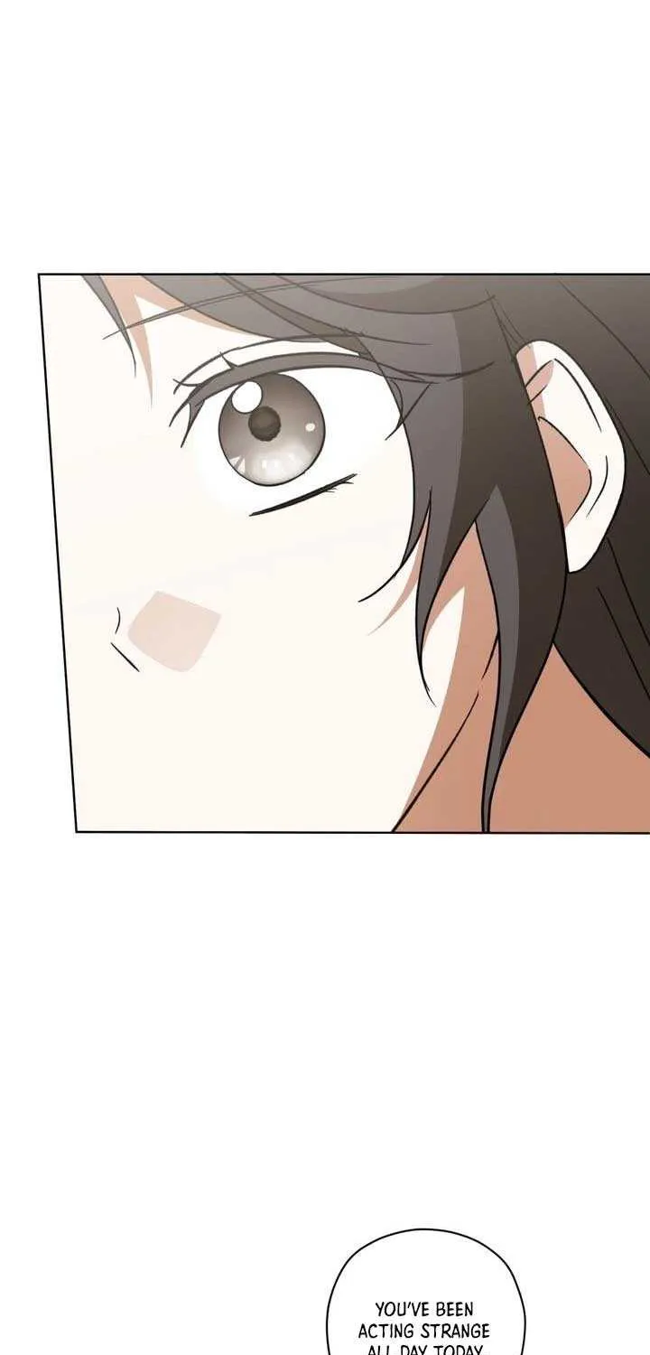 Dear Anonymous Sponsor Chapter 44 page 61 - 