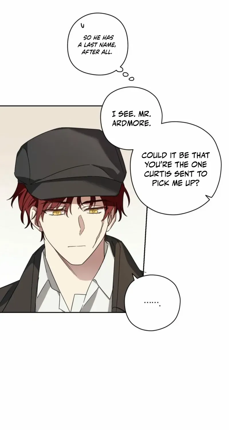 Dear Anonymous Sponsor Chapter 6 page 42 - 