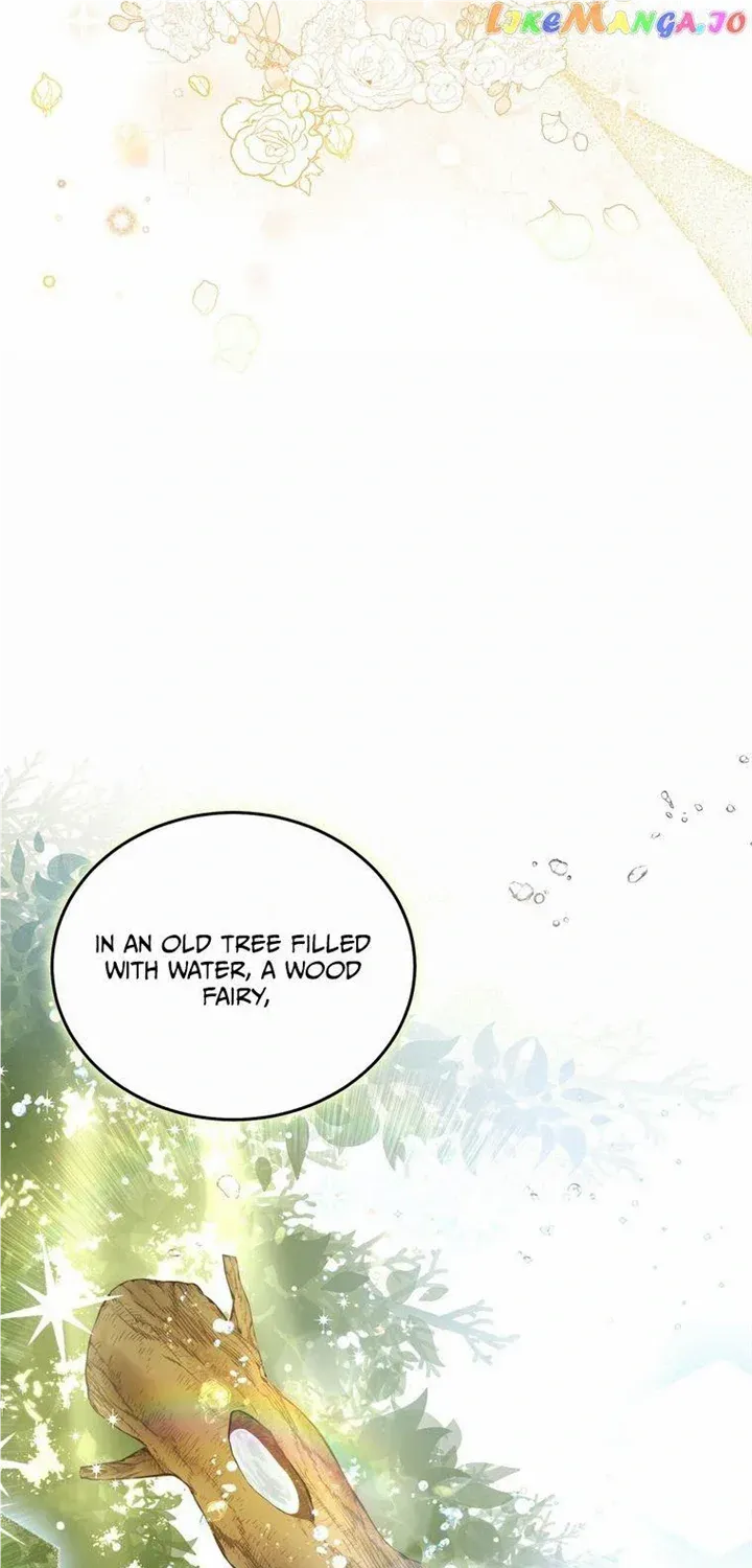 Dear Fairy, Please Contract With Me Chapter 1.1 page 13 - 