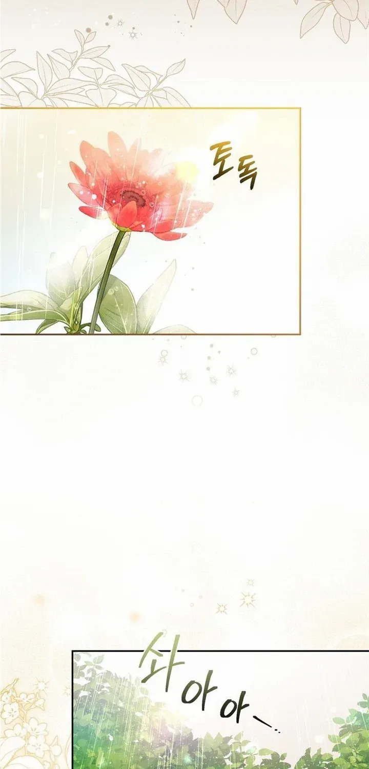 Dear Fairy, Please Contract With Me Chapter 1.1 page 5 - 