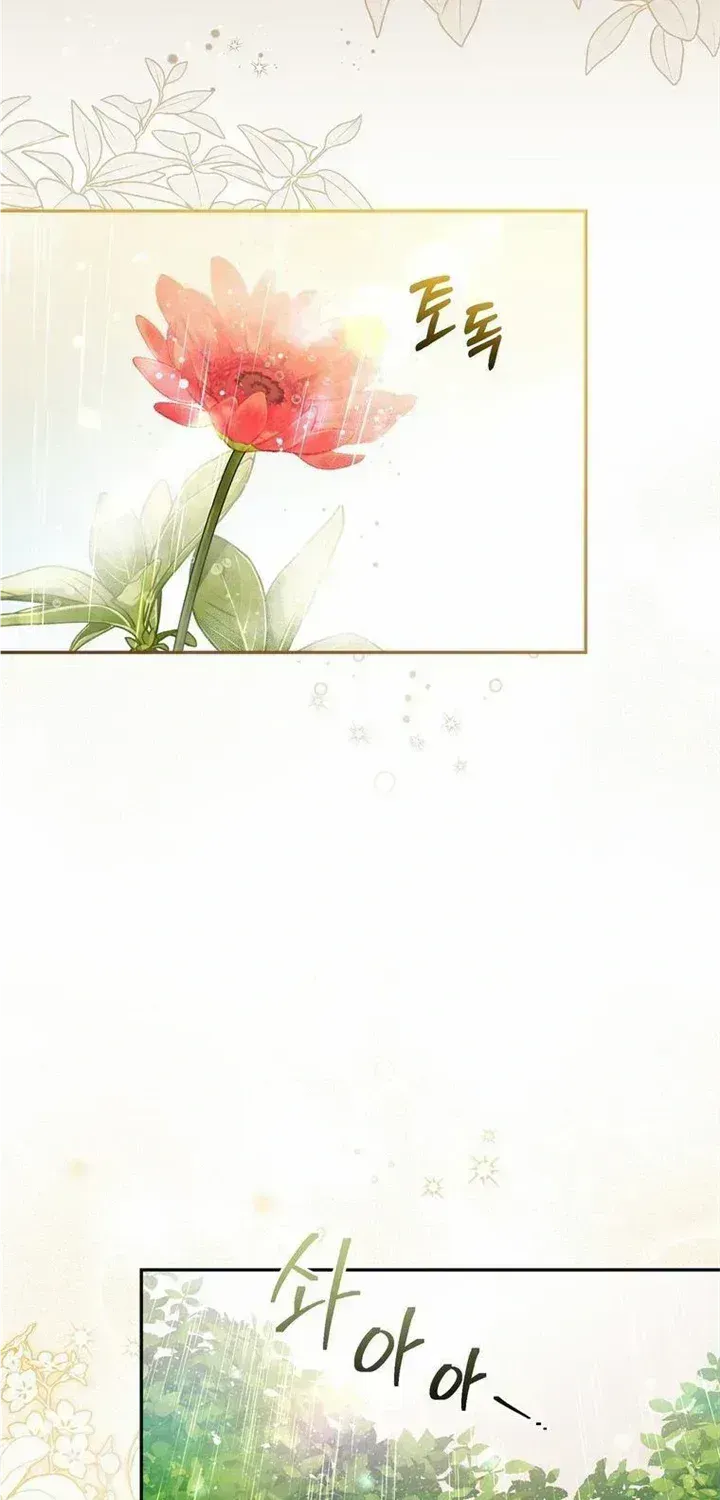 Dear Fairy, Please Contract With Me Chapter 1.3 page 4 - 