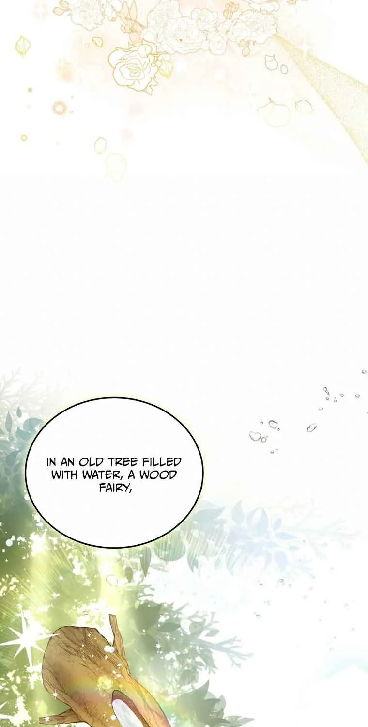 Dear Fairy, Please Contract With Me Chapter 1 page 12 - 