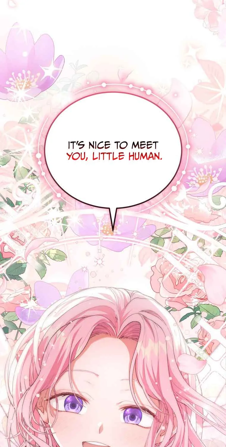Dear Fairy, Please Contract With Me Chapter 1 page 84 - 