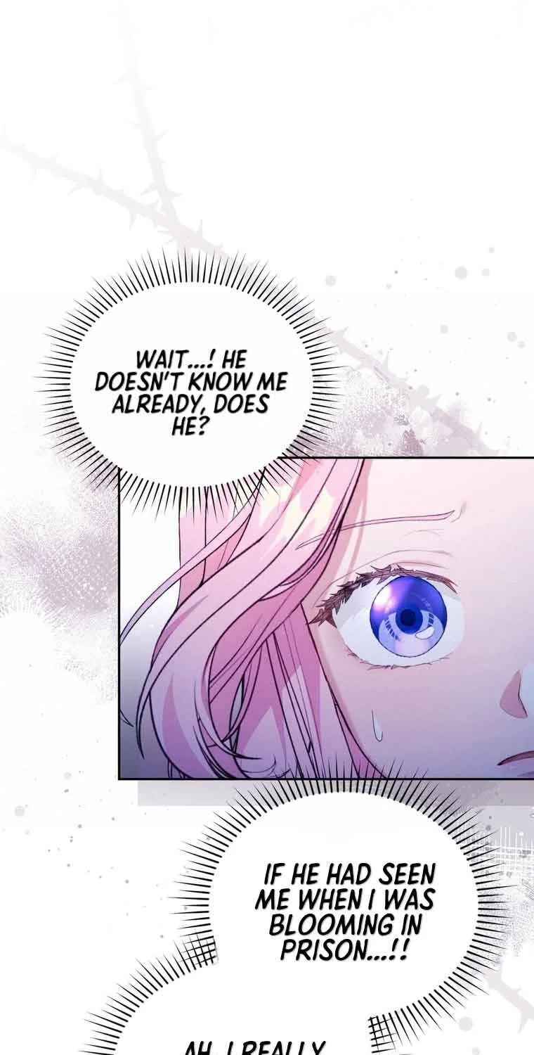 Dear Fairy, Please Contract With Me Chapter 12 page 70 - 