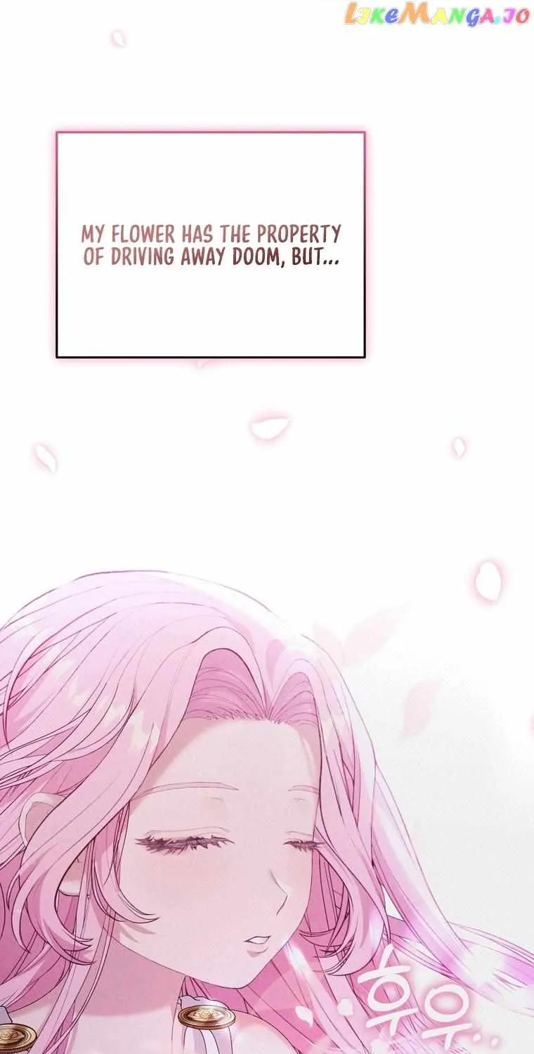 Dear Fairy, Please Contract With Me Chapter 13 page 72 - 