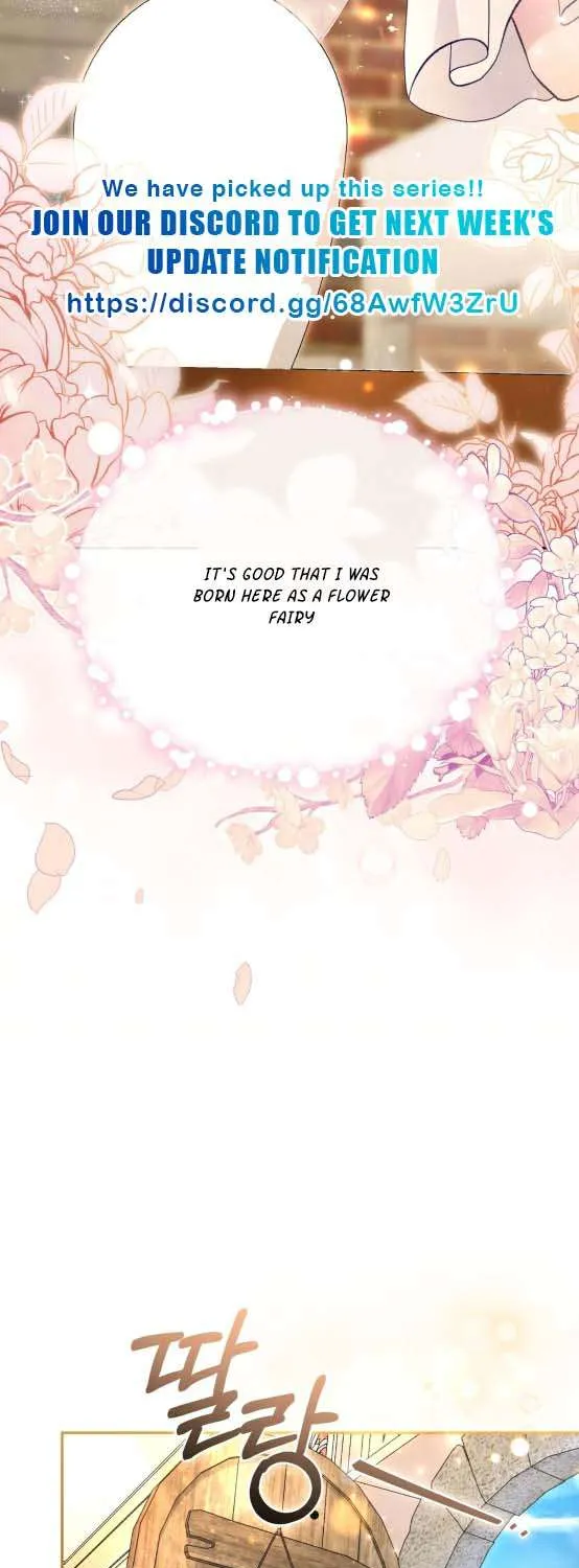Dear Fairy, Please Contract With Me Chapter 15 page 23 - 