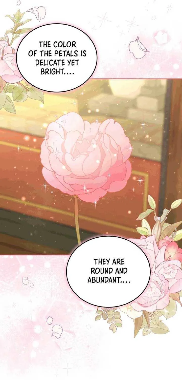 Dear Fairy, Please Contract With Me Chapter 16 page 7 - 
