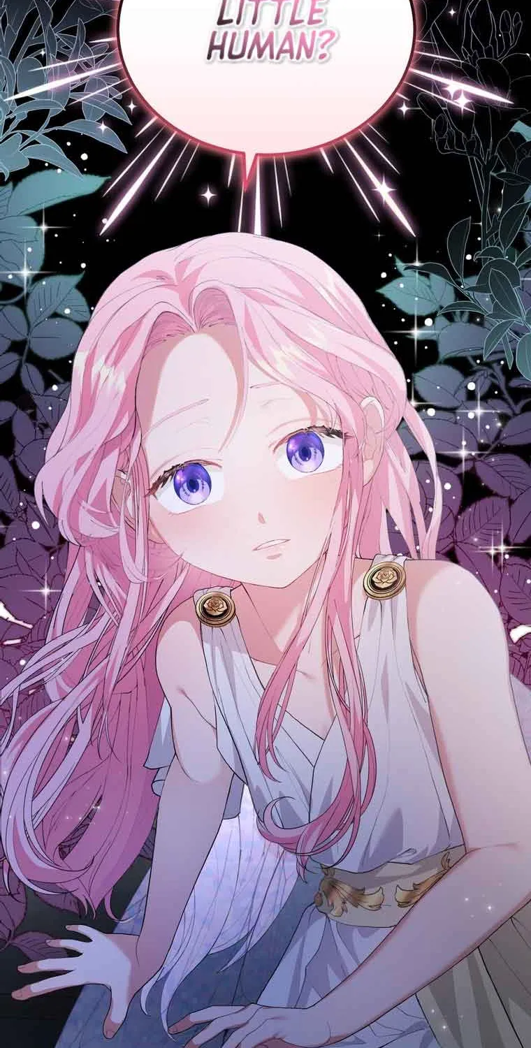Dear Fairy, Please Contract With Me Chapter 2 page 107 - 