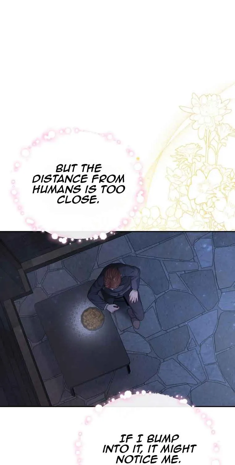 Dear Fairy, Please Contract With Me Chapter 3 page 48 - 