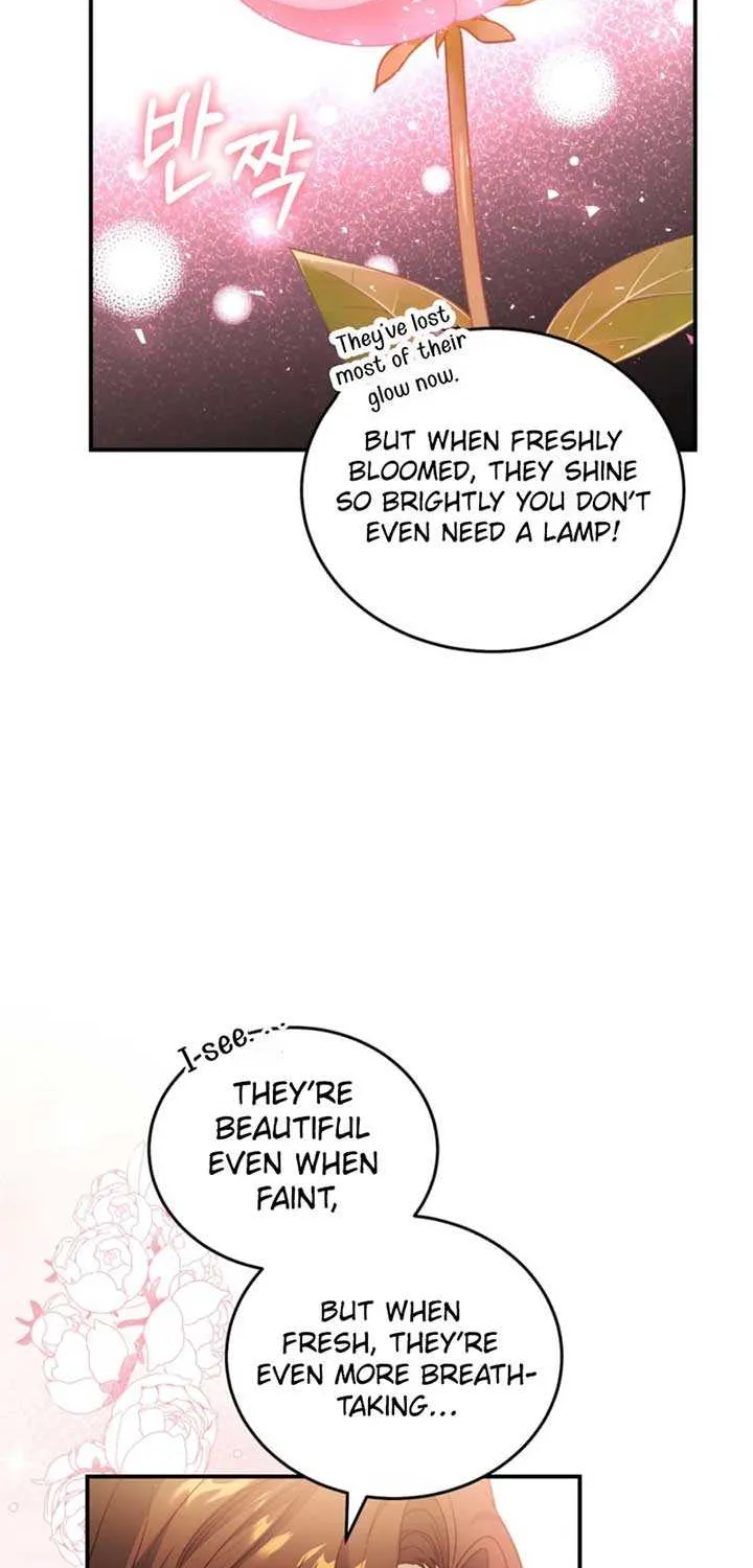 Dear Fairy, Please Contract With Me Chapter 32 page 64 - 