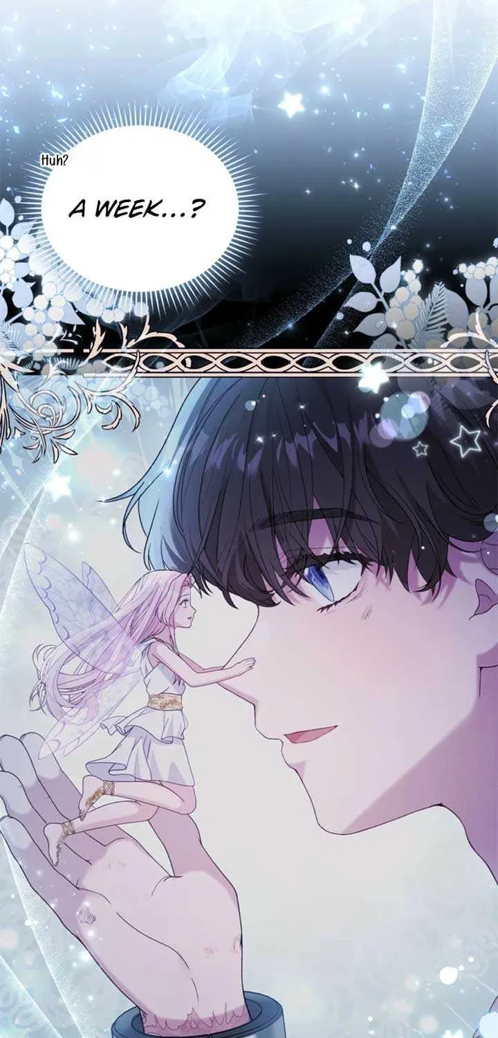 Dear Fairy, Please Contract With Me Chapter 33 page 8 - 