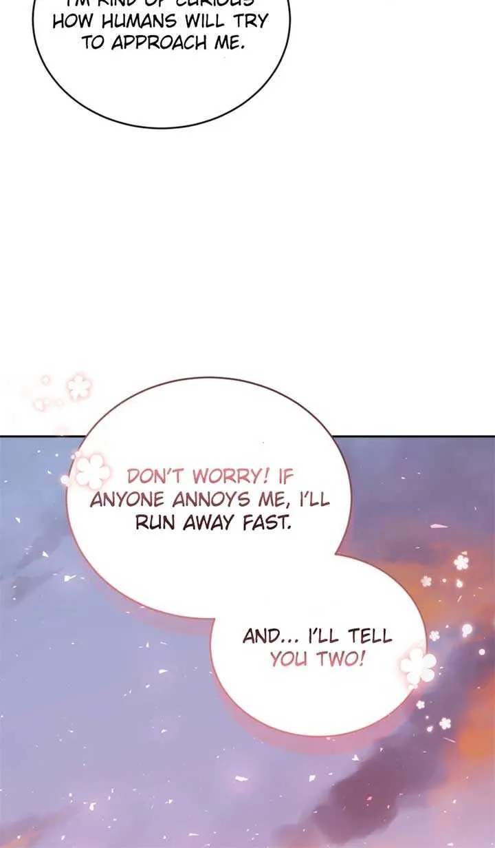 Dear Fairy, Please Contract With Me Chapter 36 page 39 - 