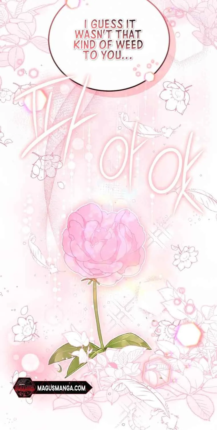 Dear Fairy, Please Contract With Me Chapter 5 page 44 - 