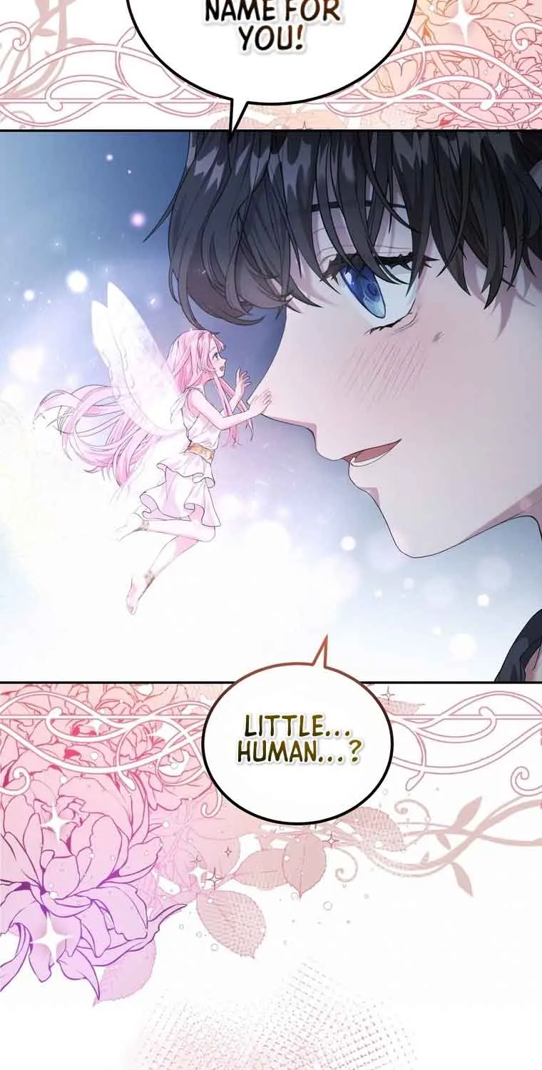 Dear Fairy, Please Contract With Me Chapter 5 page 64 - 