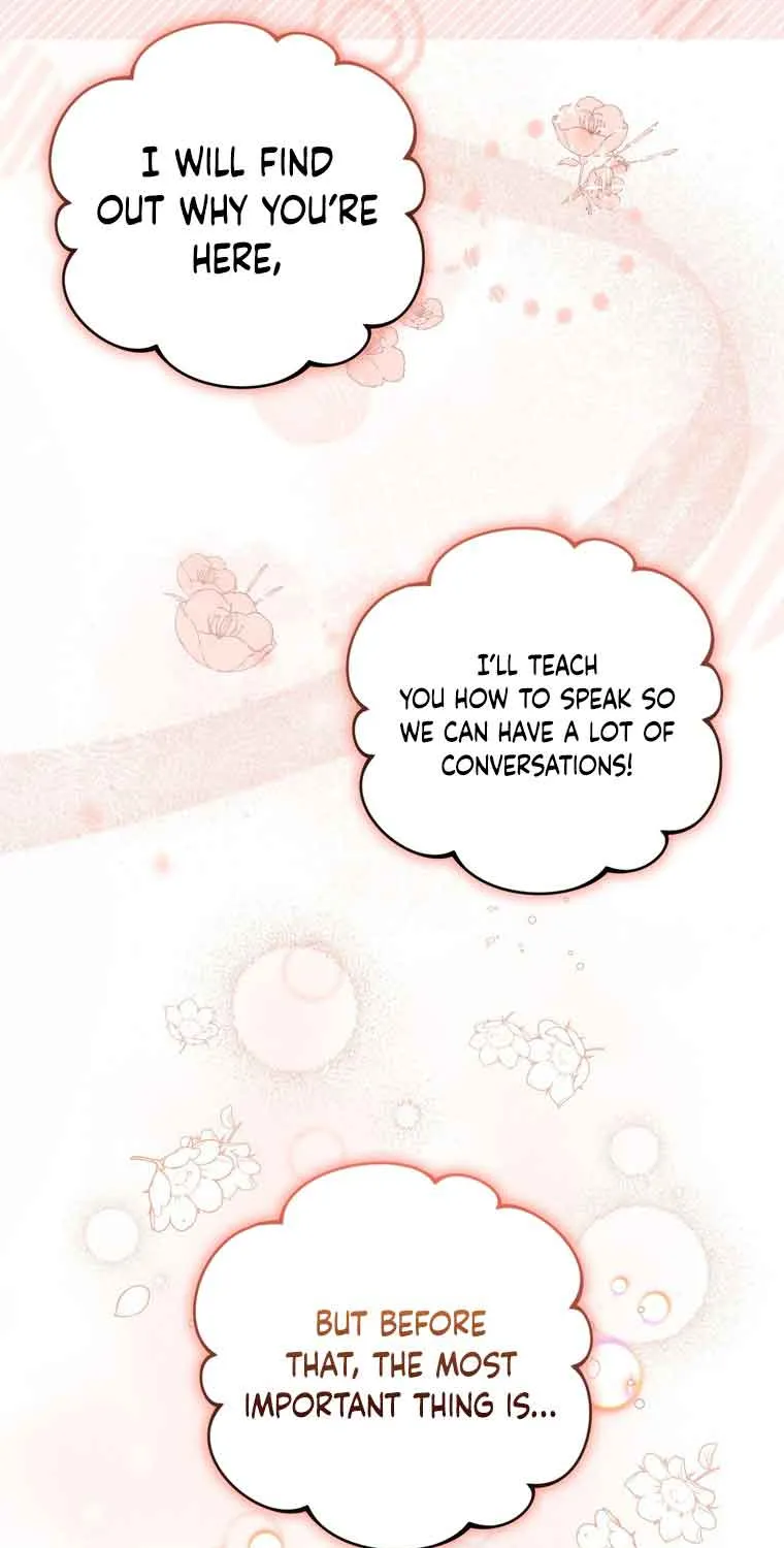 Dear Fairy, Please Contract With Me Chapter 6 page 23 - 