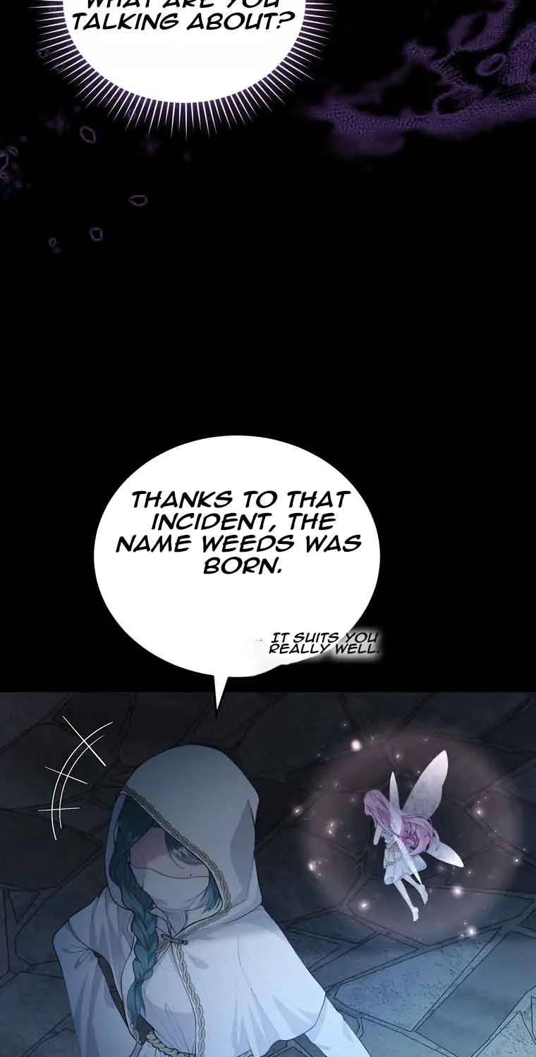 Dear Fairy, Please Contract With Me Chapter 7 page 11 - 