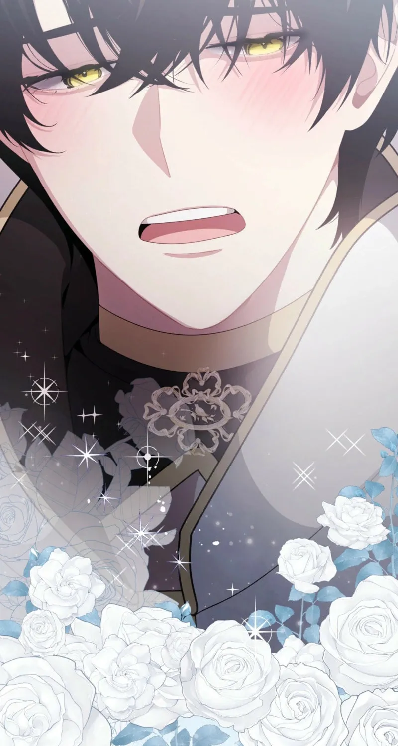 Dear Holy Knight, Read My Love Stories Chapter 2 page 50 - 