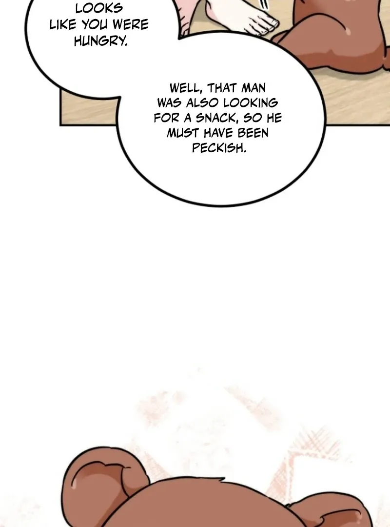 Dear My Bear Chapter 2 page 31 - 