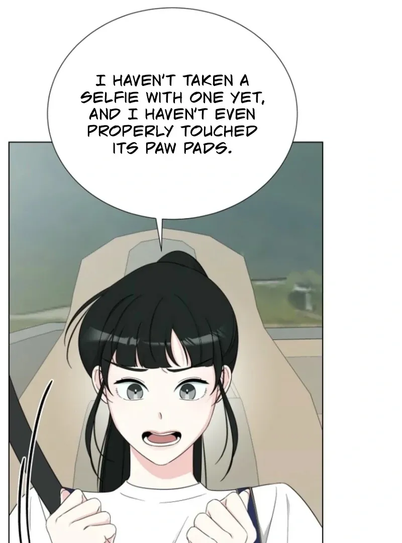 Dear My Bear Chapter 4 page 71 - 