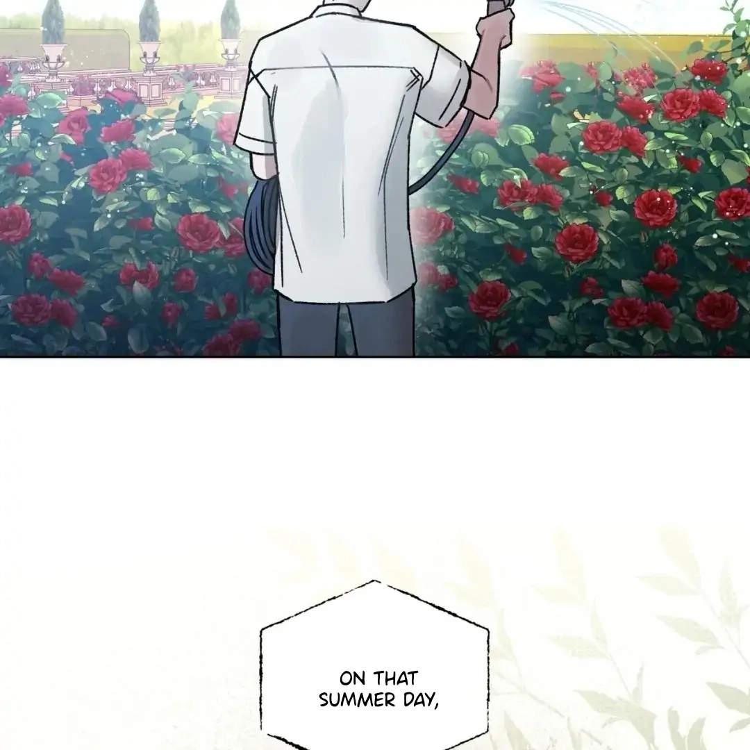 Dear My Horror Chapter 0 page 50 - 