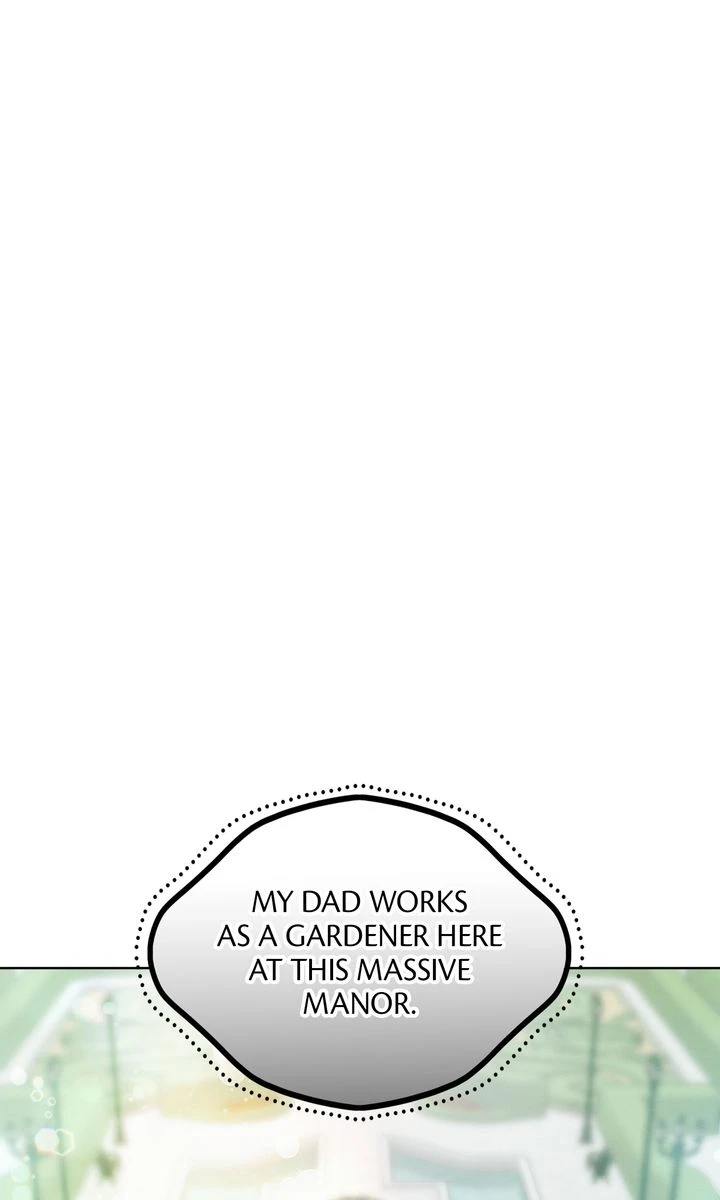 Dear My Horror Chapter 1 page 31 - 