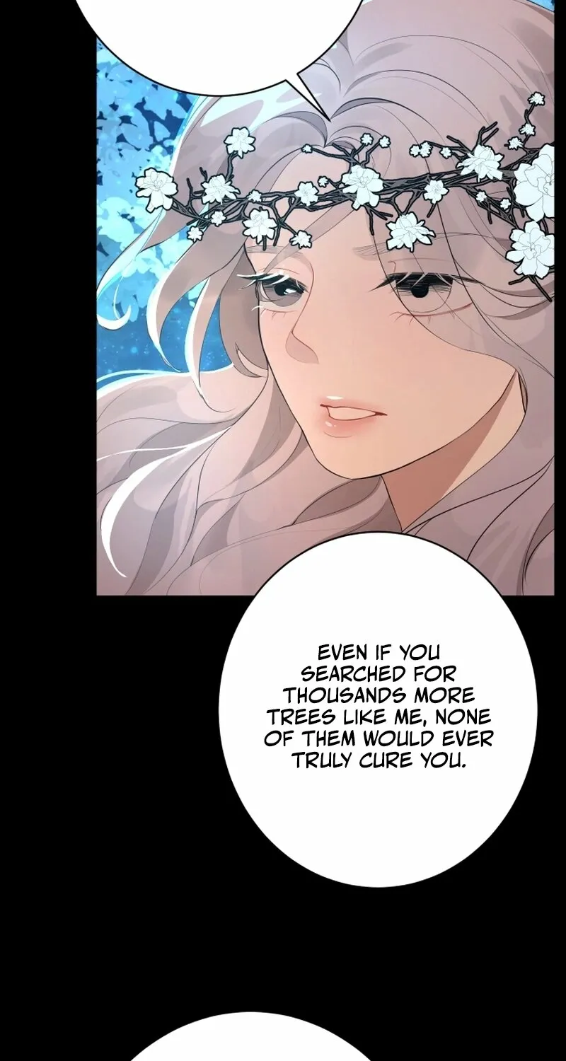 Dear My Moon Chapter 1 page 47 - 