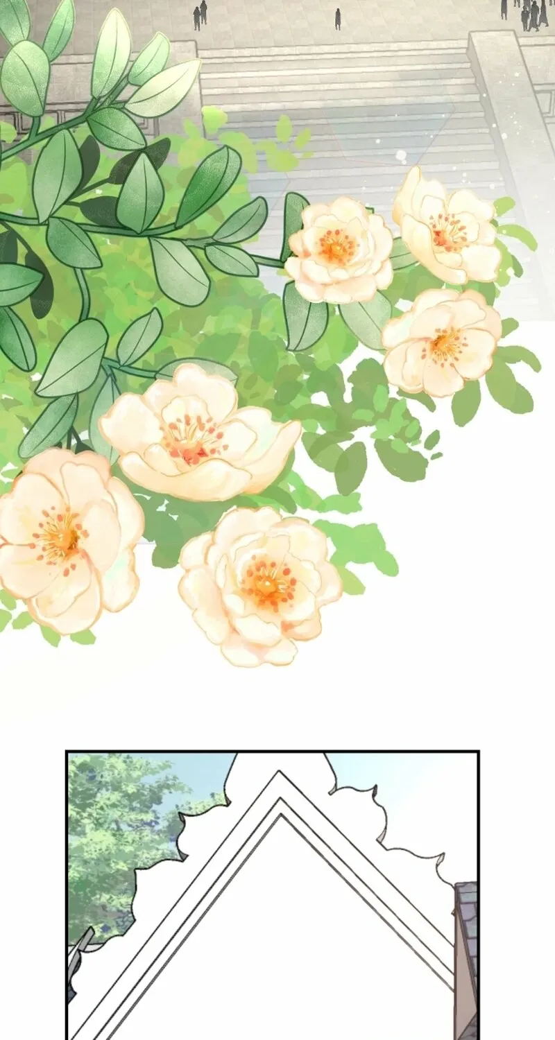 Dear My Moon Chapter 2 page 52 - 