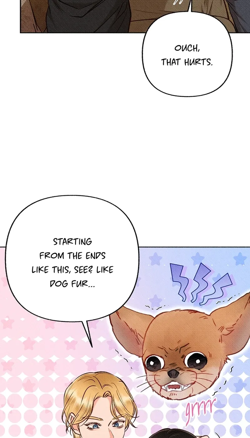 Dear My Rude Darling With Multiple Personalities Chapter 39 page 15 - 