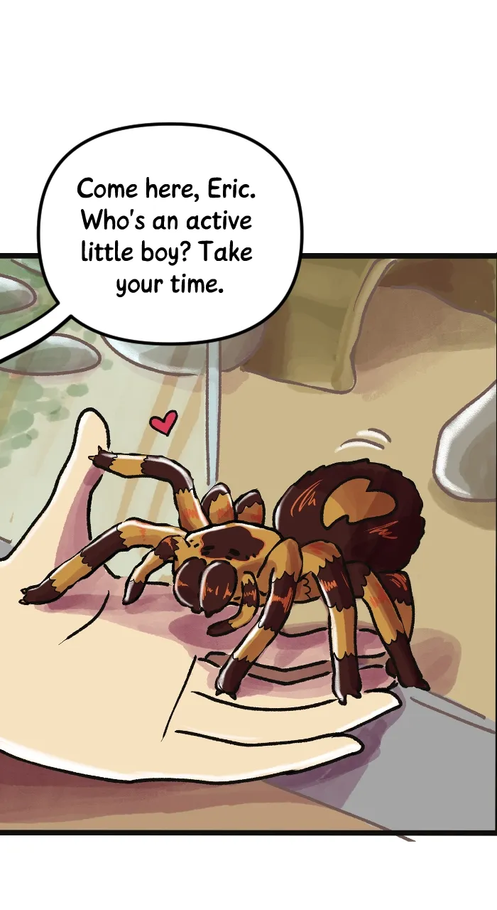 Deception Chapter 313 page 44 - 