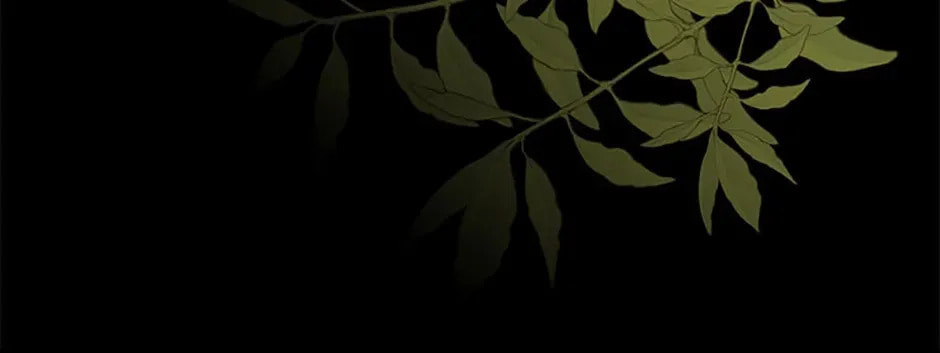 Deep Deception Chapter 71 page 32 - 