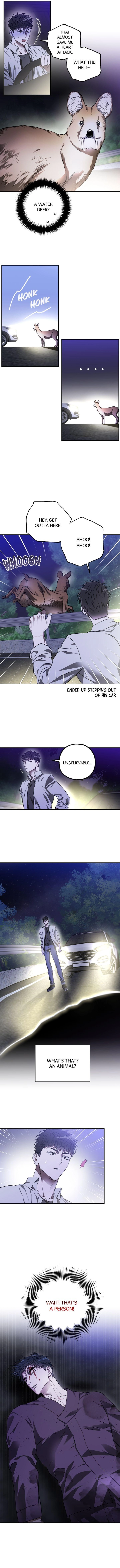 Chapter 1 page 13 - 