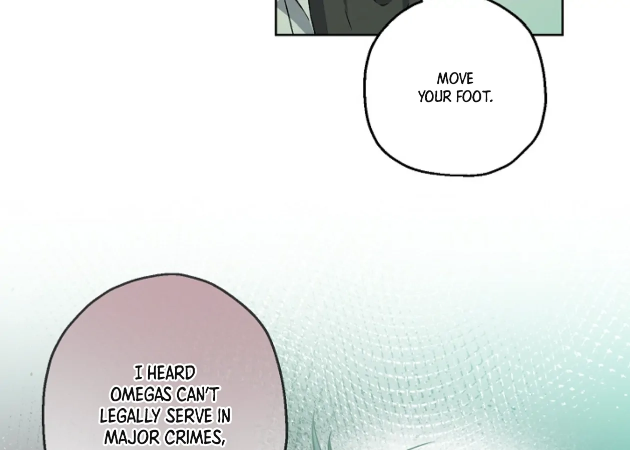  Chapter 13 page 136 - 
