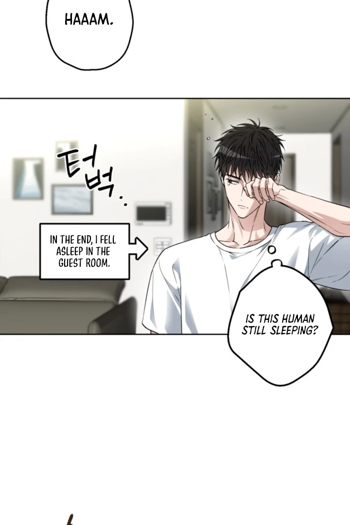  Chapter 19 page 52 - 