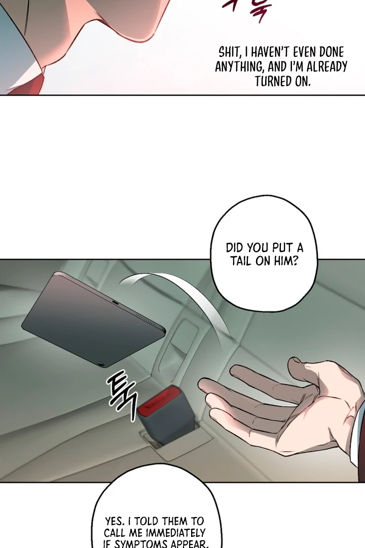  Chapter 19 page 81 - 
