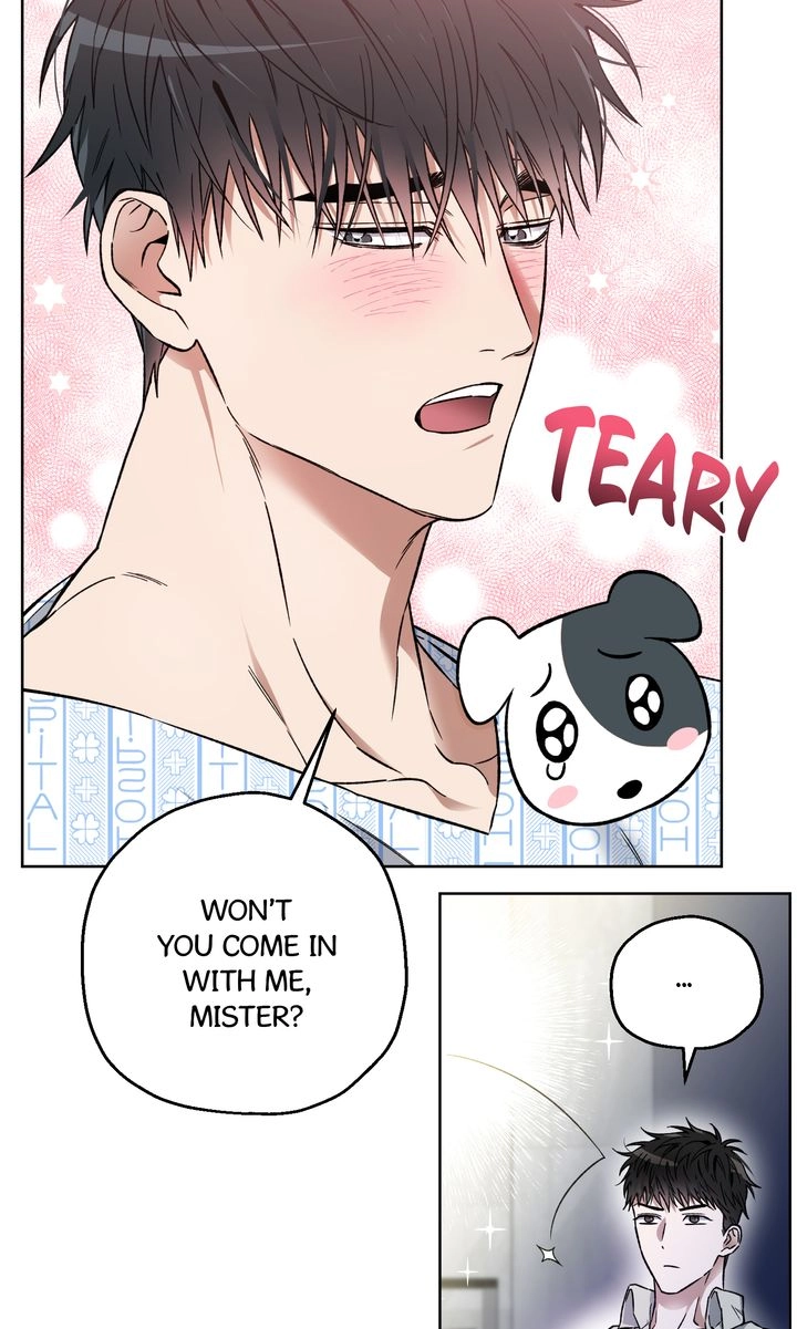  Chapter 2 page 39 - 
