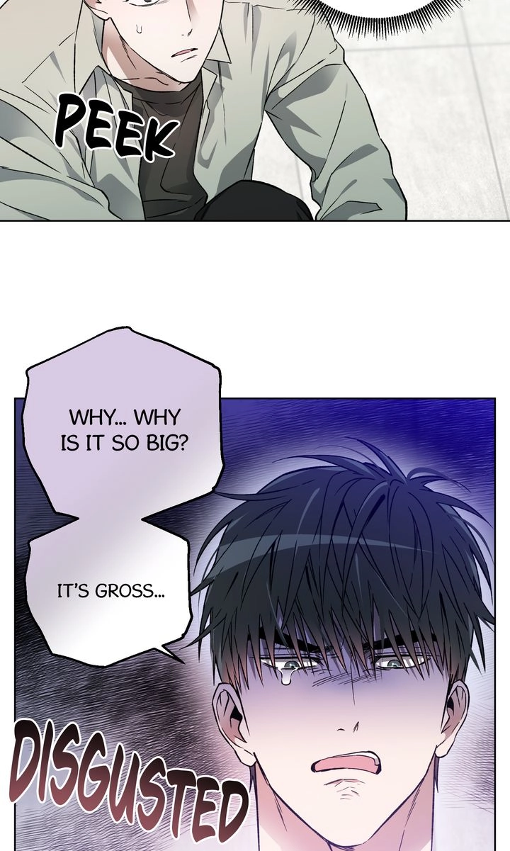  Chapter 2 page 55 - 