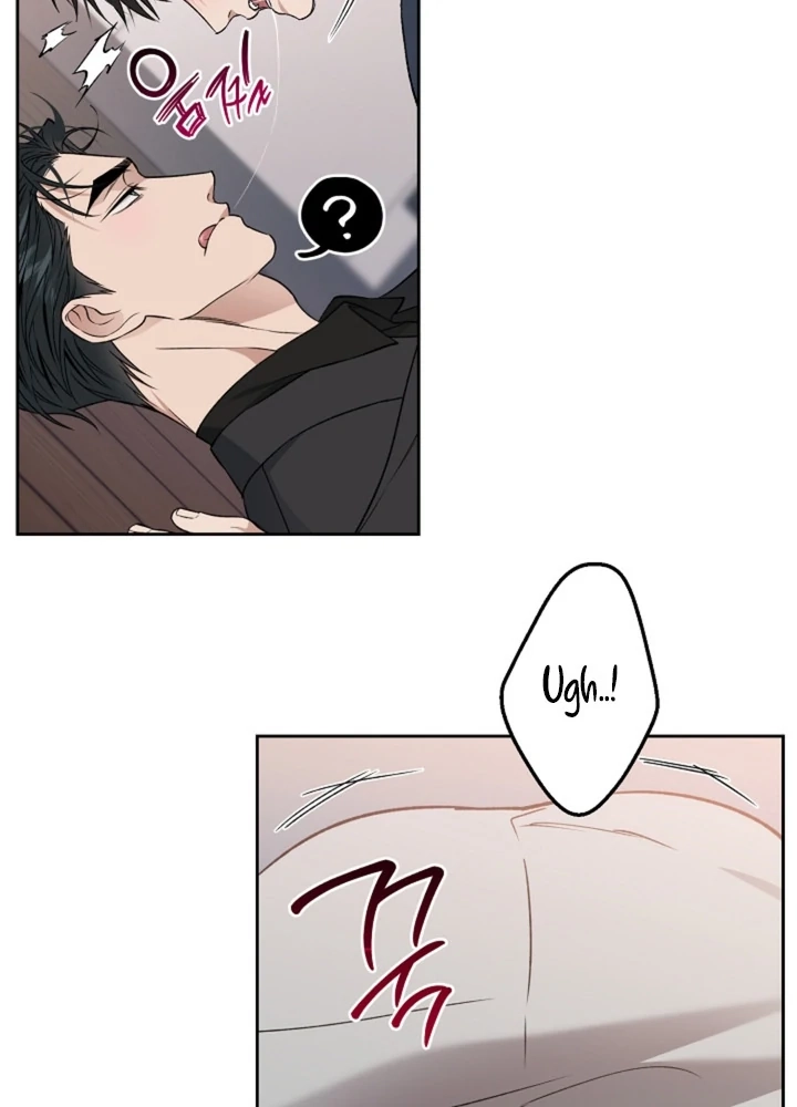  Chapter 25 page 95 - 