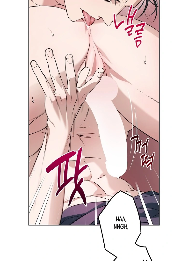  Chapter 26 page 41 - 